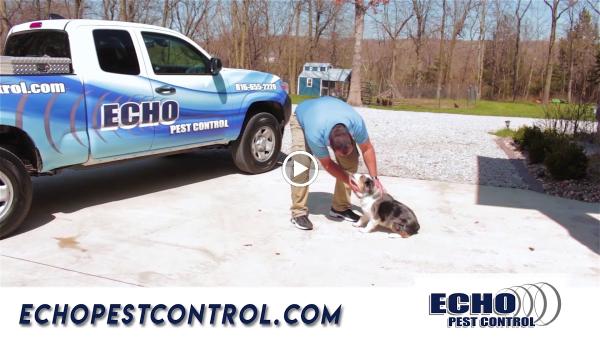 Echo Pest Control Omaha/Lincoln Metro Areas