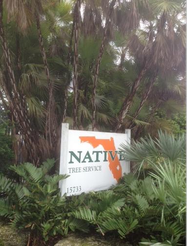 Native Tree Service
