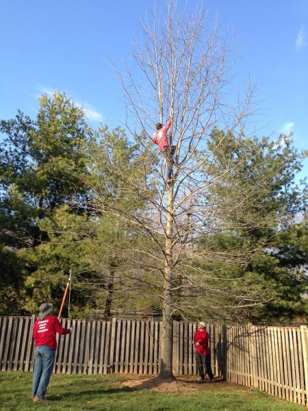 Affordable Landscape Services
