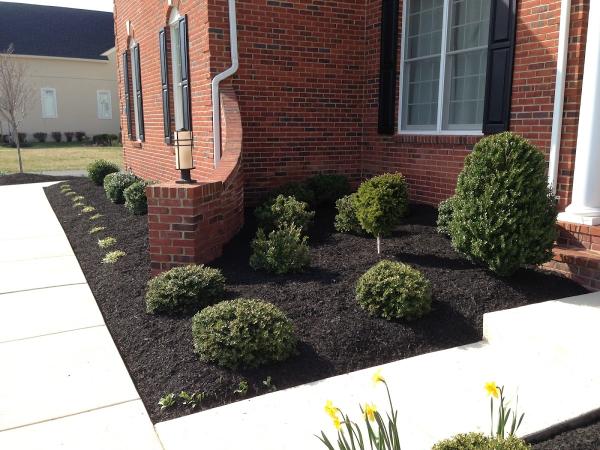 Affordable Landscape Services