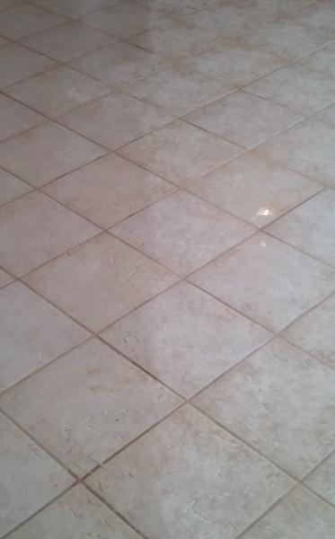 Blue Diamond Premium Cleaning and Restoration