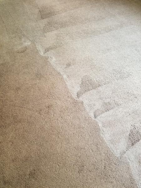 Honest Abe's Clean Home