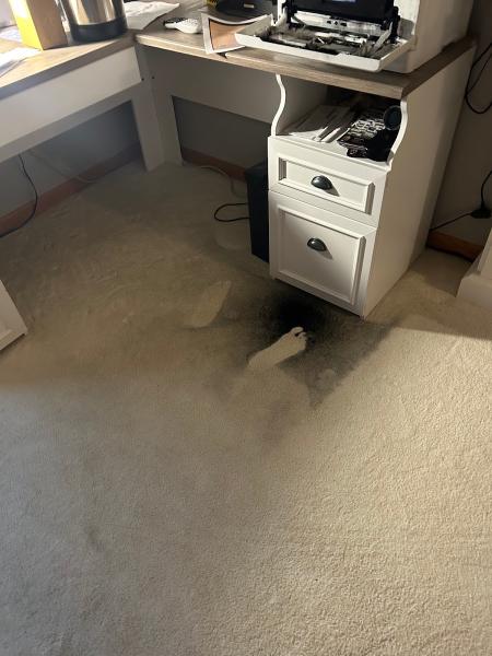 Collins Carpet Cleaning