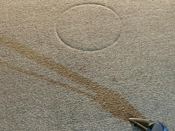 Collins Carpet Cleaning
