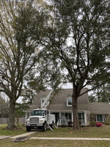 Precision Tree Service