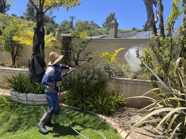 San Diego Pressure Washing and Window Cleaning
