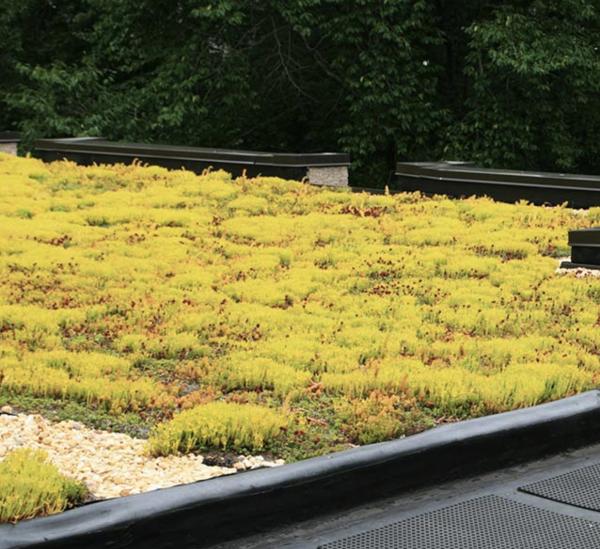 Secure Roofing