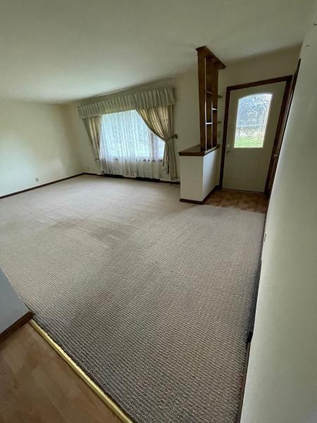 Able Carpet Cleaners