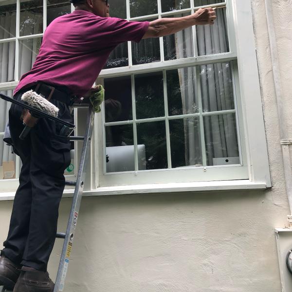 Professional Window Cleaners