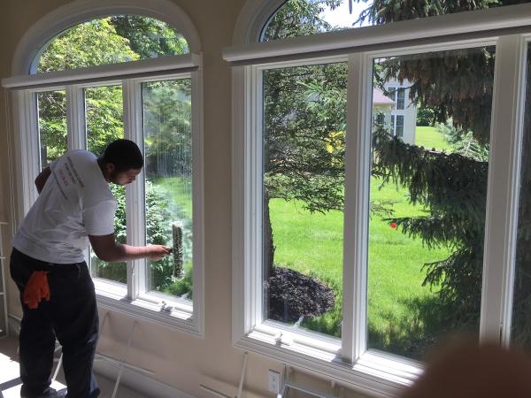 Professional Window Cleaners