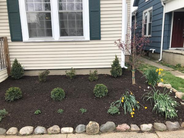 Arroyo Landscaping LLC