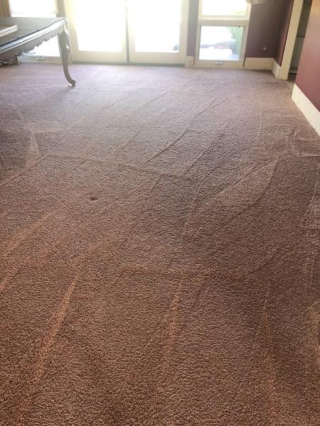 West Coast Carpet Cleaning