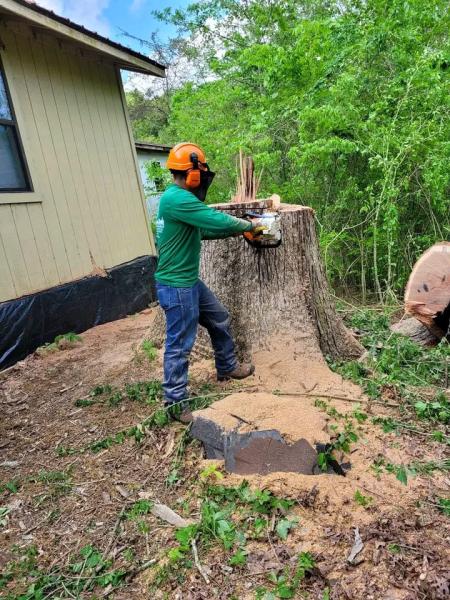 Edgar Lopez Tree Services & Landscaping