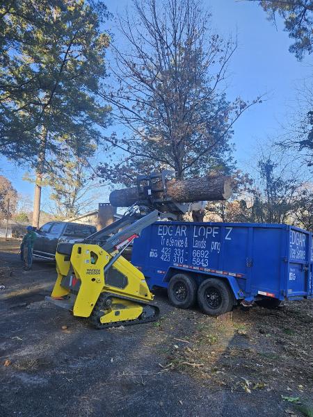 Edgar Lopez Tree Services & Landscaping