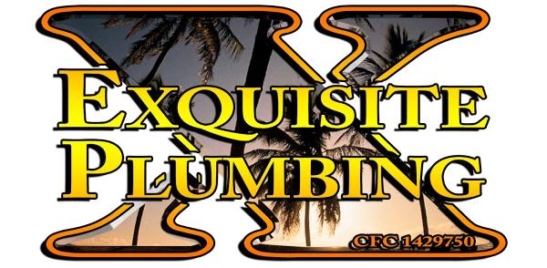 Exquisite Plumbing