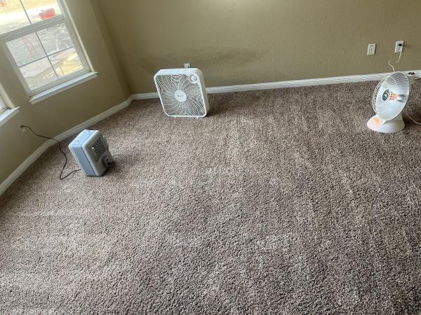 Ferrante's Steam Carpet Cleaning