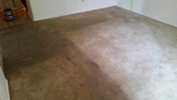 Fantastic Carpet Cleaning Co.