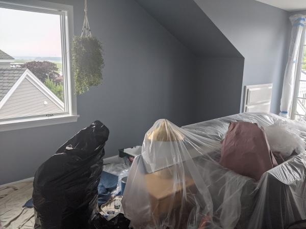 Roy's Painting Services
