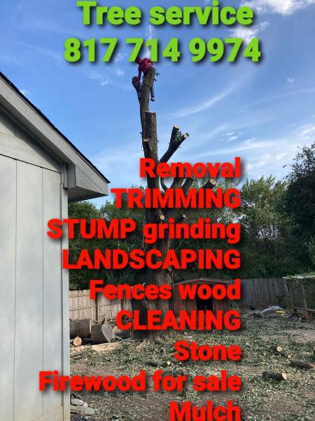 JMS Tree Service and Landscaping