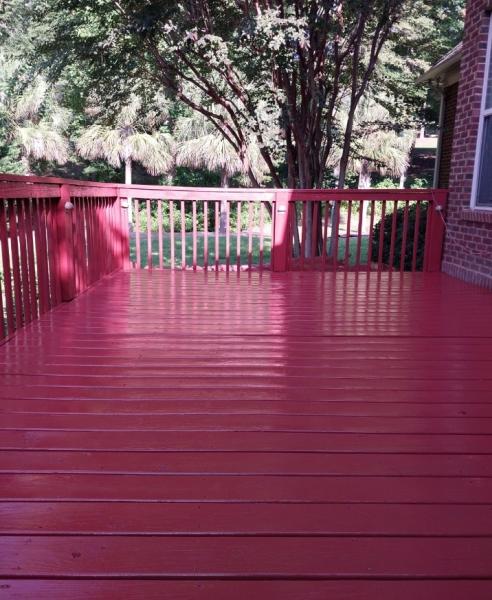 Carolina State Painters