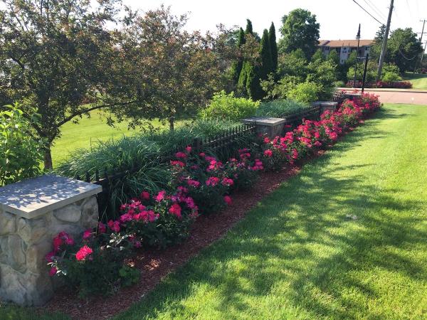 C & S Lawncare