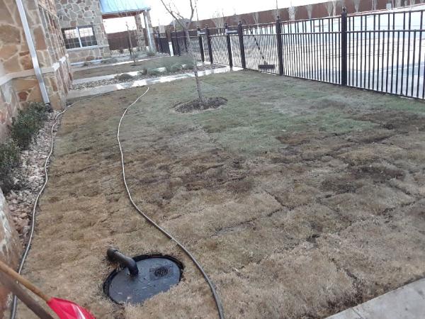 Lawn & Landcare