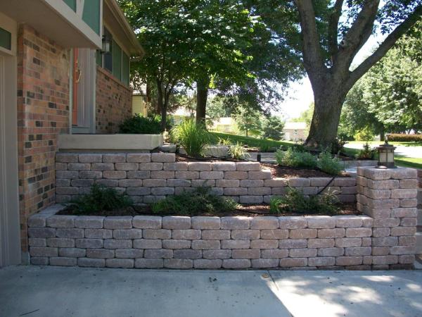 Creek Tree Service