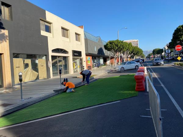 Proscape Maintenance & Irrigation