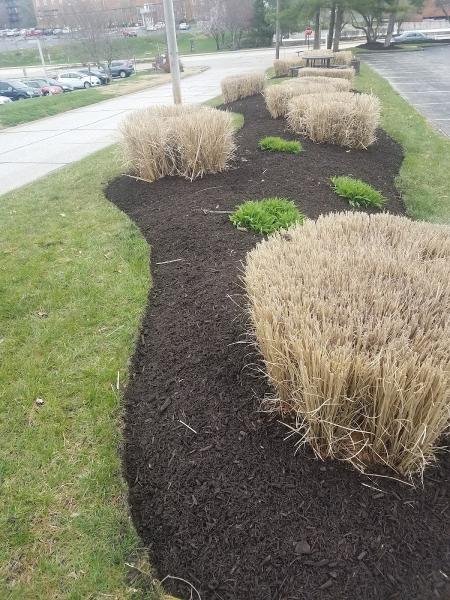 New Leaf Lawn & Landscape LLC