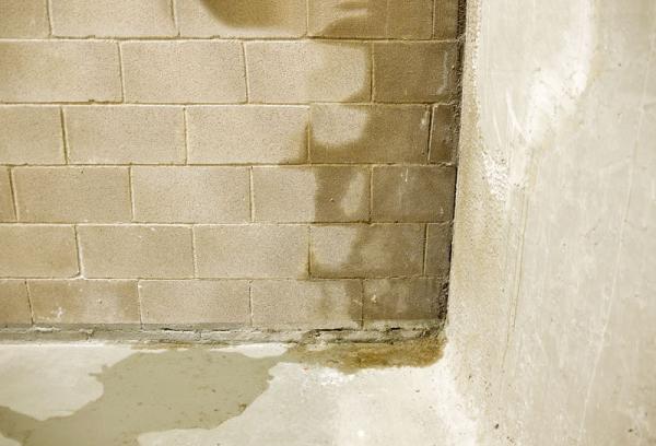 Everdry Waterproofing