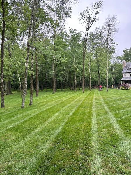 A. O'Reilly Landscaping