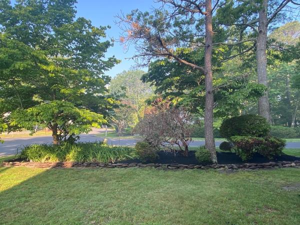 Active Green Llc Lawn Care & Landscaping