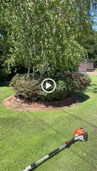 Santiago Lawn Care