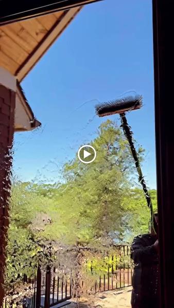 Luminous Window Cleaning