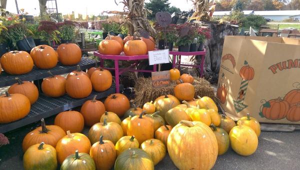 Holtz Garden Center & Floral