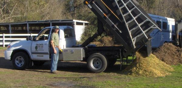 Alan Quality Tree Care
