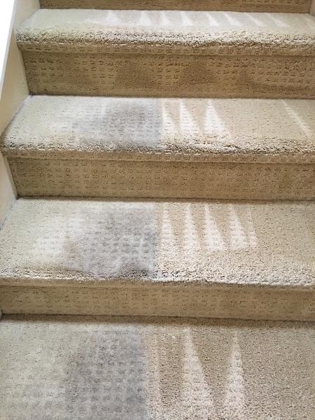 JTS Carpet Cleaning