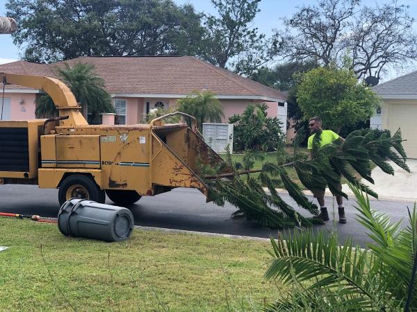 Mathews Tree Service