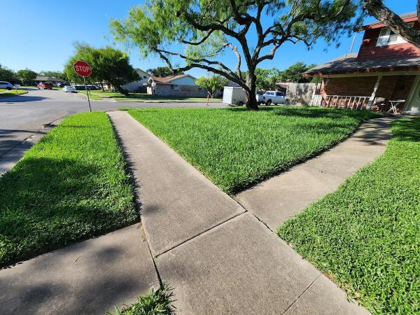 Trevor's Lawn Care