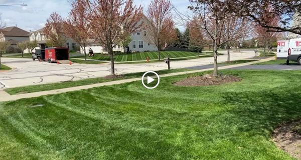 Armando's Landscape Services Inc.