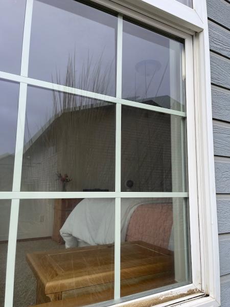 Elite Window Cleaning & Pressure Washing