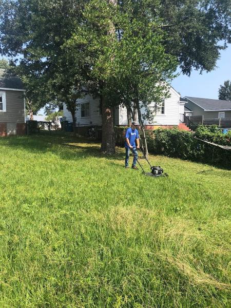We Surv Wilmington Painting & Handyman Services