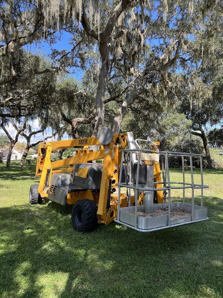 On Budget Tree Service