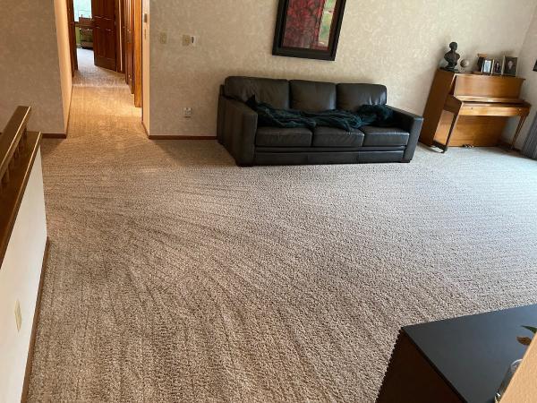 Steamdry Carpet Cleaning and Flood Restoration Milwaukee