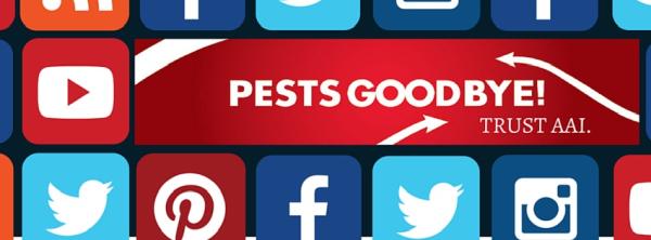 AAI Pest Control