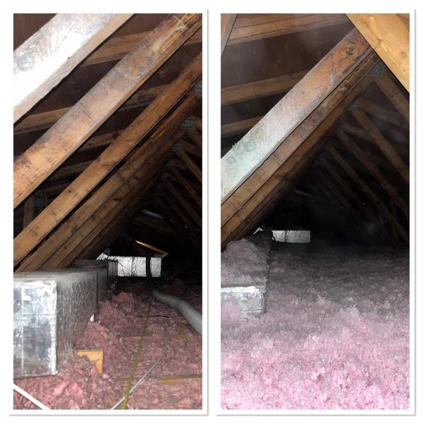 Elite Insulation