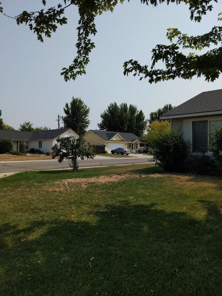 Terry's Tree Services Inc