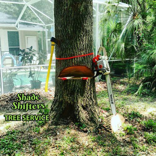 Shade Shifters Tree Service