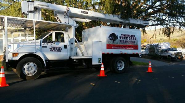 Timberland Tree Care
