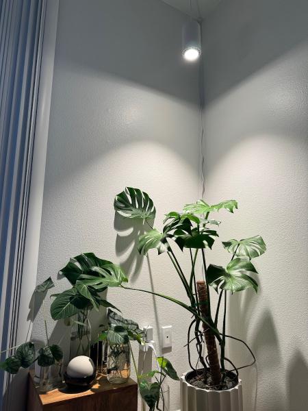 Soltech Electric